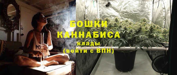 ALPHA-PVP Богородицк