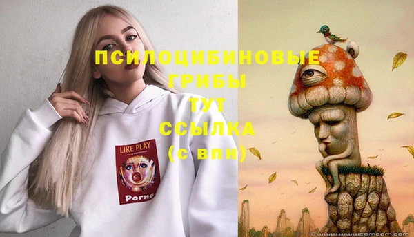 СК Балахна