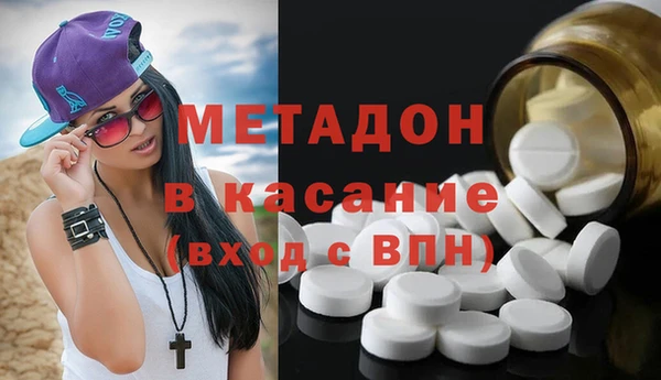 гашик Богданович